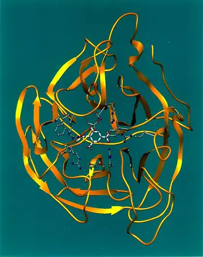 The N in H5N1 stands for "Neuraminidase", the protein depicted in this ribbon diagram