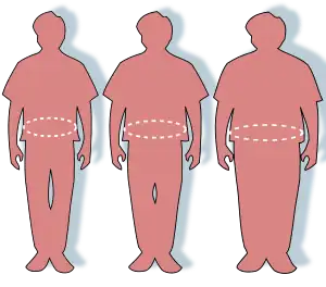 Three silhouettes depicting the outlines of an optimally sized (left), overweight (middle), and obese person (right).