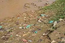 Open defecation along a riverbank in Bujumbura, Burundi