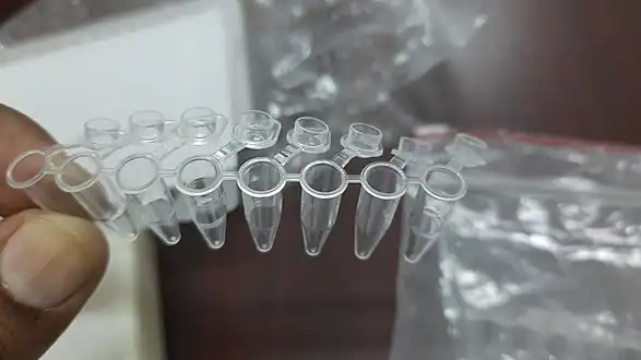 PCR  tubes