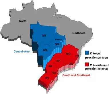 Brazilian regions, highlighting the Central - West region where P. lutzii predominates and the South and Southeast region where P. brasiliensis predominates