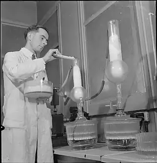A technician preparing penicillin in 1943