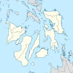 Cebu Doctors' University is located in Visayas