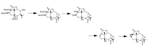 The synthesis of picrotoxinin from carvone
