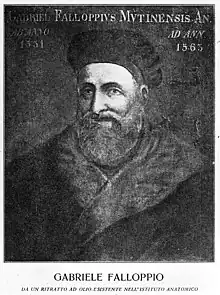 Portrait of Gabriele Fallopius