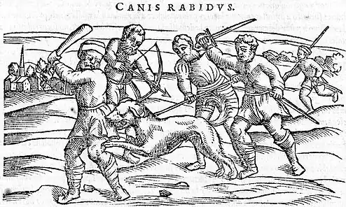 Illustration shows a group of men attempting to kill a rabid dog. The men are using various weapons including a club, bow and arrow, and a sword. The dog is biting the leg of the man on the far left.