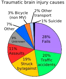 Causes of traumatic brain injury falls make up 28%, traffic accidents 20%, being struck by or against 19%, assault 11%, Non-motorized vehicles 3%, other transportation 2%, unknown 9%, and other 7%.
