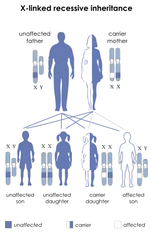 Wiskott–Aldrich syndrome has an X-linked recessive pattern of inheritance.