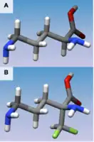 Figure 1(A) 3D structure of L-Ornithine (B) 3D structure of Eflornithine. This molecule is similar to the structure of L-Ornithine, but its alpha-difluoromethyl group allows interaction with Cys-360 in the active site