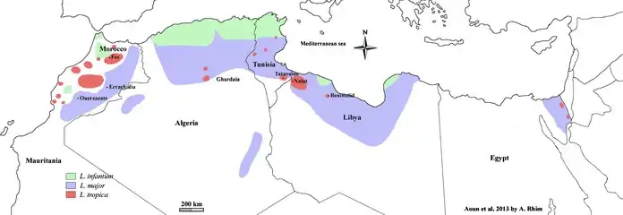Cutaneous leishmaniasis in North Africa; Leishmania infantum infected areas are in green