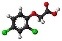 Ball-and-stick model of 2,4-dichlorophenoxyacetic acid