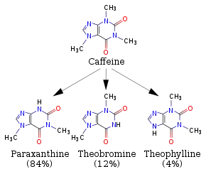 A diagram featuring 4 skeletal chemical formulas. Top (caffeine) relates to similar compounds paraxanthine, theobromine and theophylline.