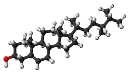 Ball-and-stick model of campesterol