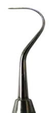 Curved tip of a small metal probe, tapering to a point.