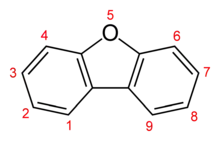 Skeletal formula showing numbering convention