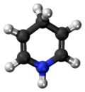 Ball-and-stick model of the dihydropyridine molecule