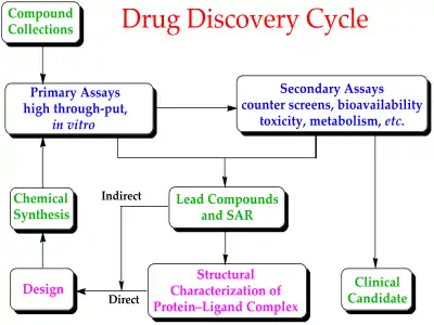 Drug discovery cycle schematic