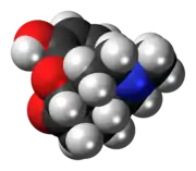 Space-filling model of hydromorphone