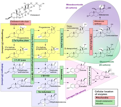 Chemical-diagram flow chart