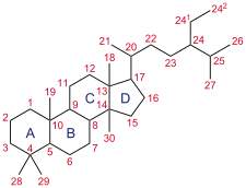 Complex chemical diagram