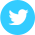 twitter-icon