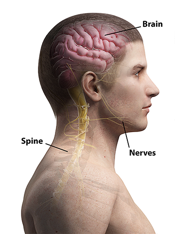 Nervous system diseases