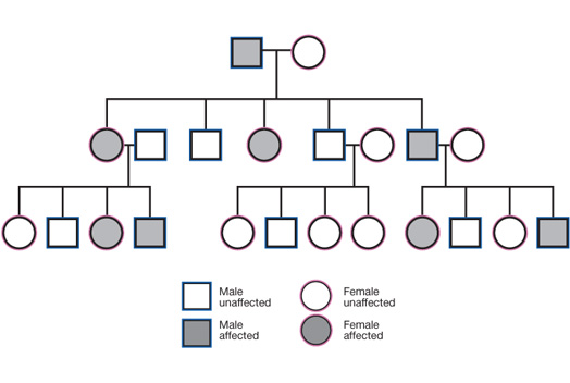 Autosomal Dominant