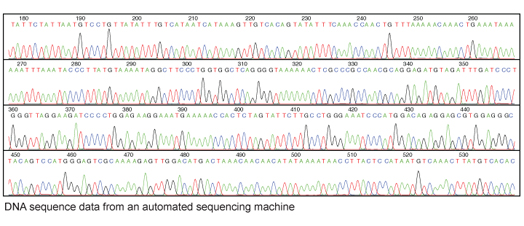 DNA Sequencing