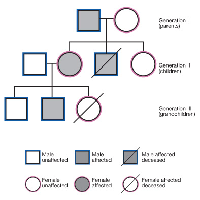 Pedigree