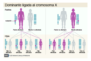 Dominante ligada al cromosoma X