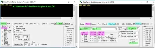 real term loopback test