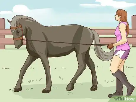 Image titled Break a Horse Step 11