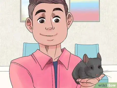 Image titled Play with Your Pet Chinchilla Step 9