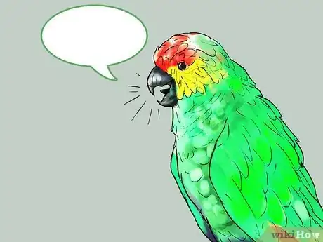 Image titled Know if an Amazon Parrot Is Right for You Step 7