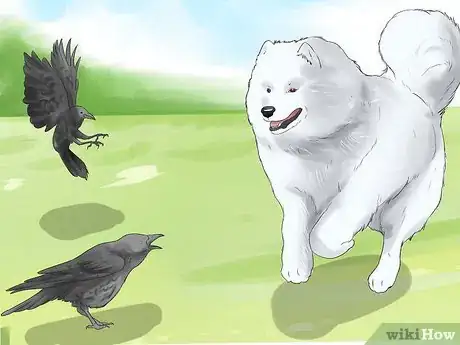 Image titled Train a Dog to Protect Chickens Step 16