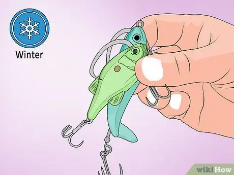 Image titled Choose Lures for Bass Fishing Step 1