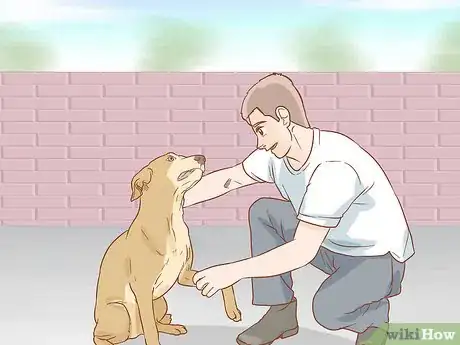 Image titled Help a Dog Recover from a Broken Leg Step 1