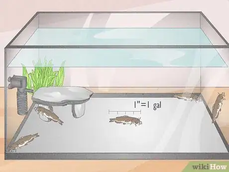 Image titled Know How Many Fish You Can Place in a Fish Tank Step 1