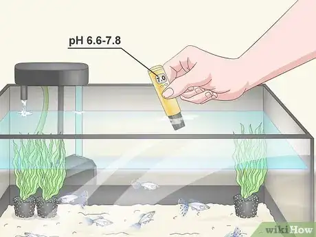 Image titled Test the Water in an Aquarium Step 9
