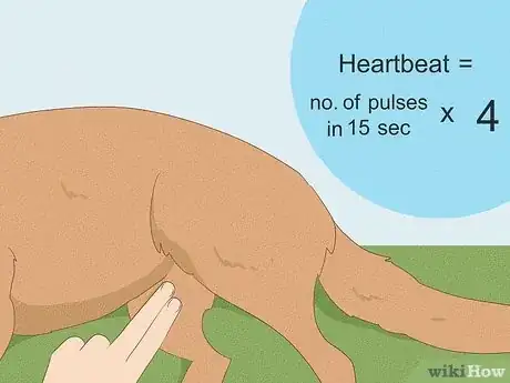 Image titled Perform CPR on a Dog Step 3