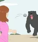 Survive a Bear Attack
