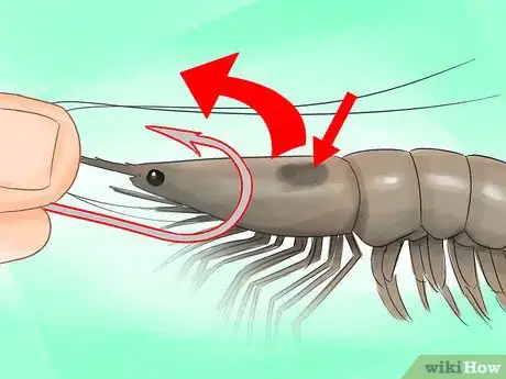 Image titled Hook a Shrimp Step 1Bullet1