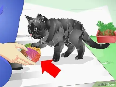 Image titled Keep a Cat out of Potted Plants Step 14