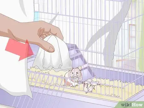 Image titled Handle Unexpected Baby Hamsters Step 2