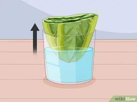 Image titled Grow Romaine Lettuce Step 7
