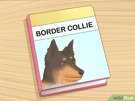Image titled Care for a Border Collie Step 10