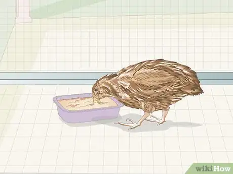 Image titled Know if Your Quail Is Sick Step 10