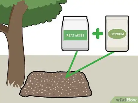 Image titled Grow Morel Mushrooms Step 4