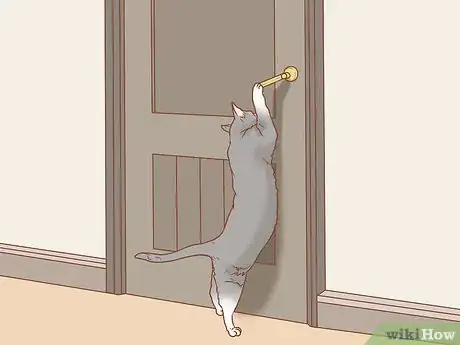 Image titled Teach a Cat to Open a Door Step 12