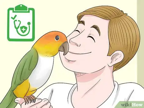 Image titled Know if a Caique Parrot Is Right for You Step 13